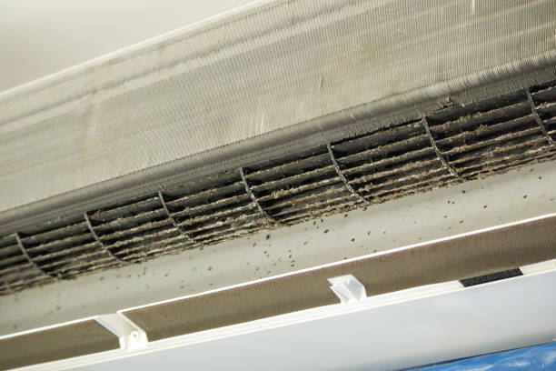 Best HVAC Air Duct Cleaning  in San Leon, TX